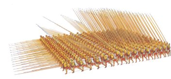 4f7fa614_b_2_macphalanx.jpg